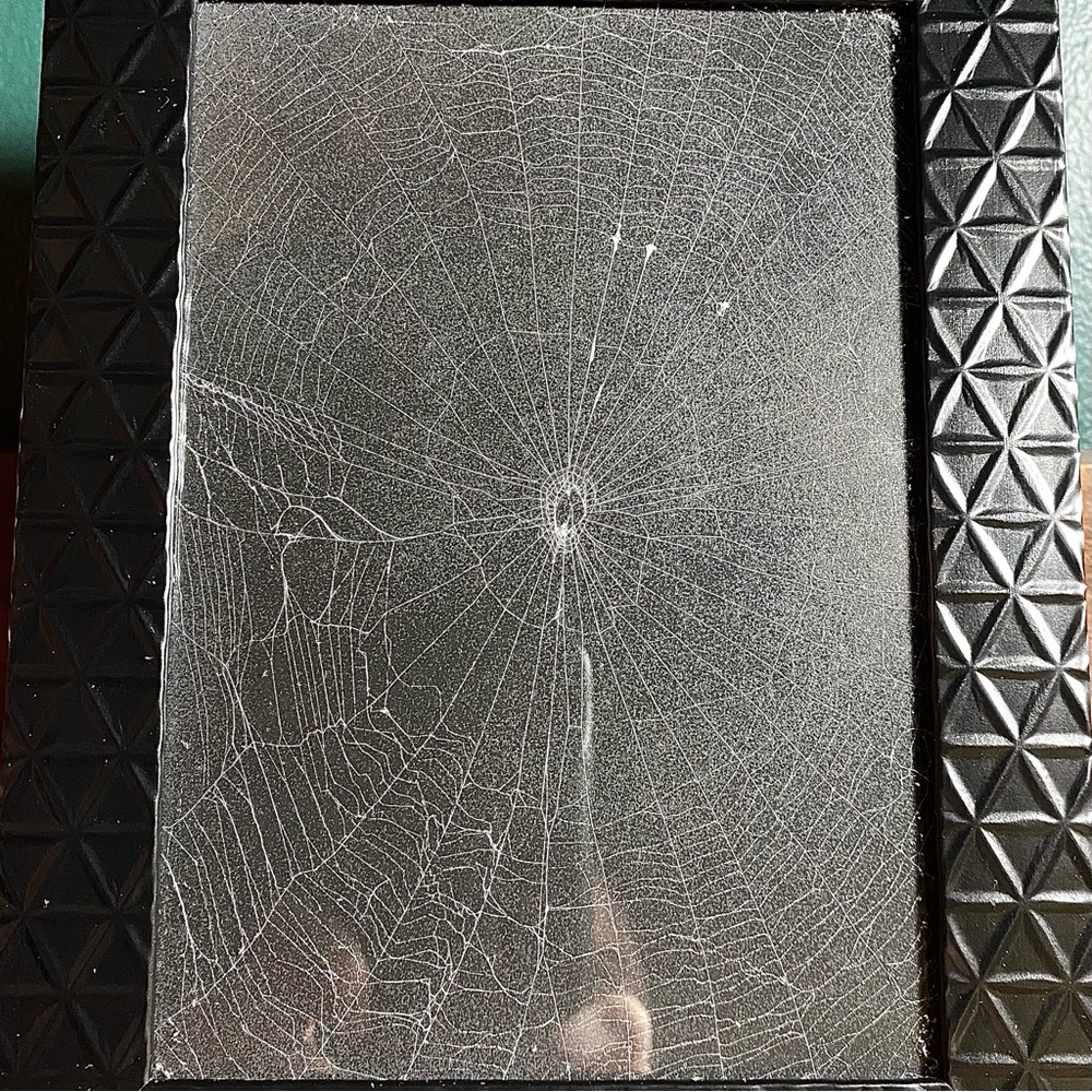 Real Spiderweb Frame 🕷️ 🕸️ - Picture 6 of 7
